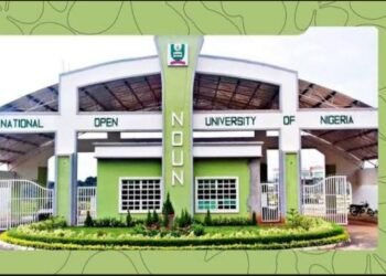 The 6 Best Online Universities in Nigeria for Busy People Who Still Want That Degree