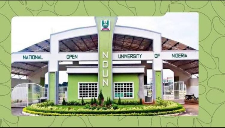 The 6 Best Online Universities in Nigeria for Busy People Who Still Want That Degree