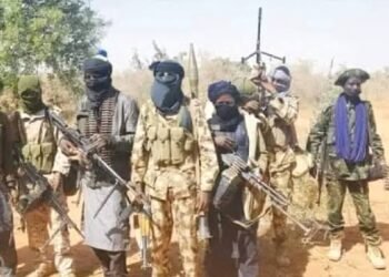 Bandits Kill Dozens of Captives in Zamfara, Including Infants Born in Captivity