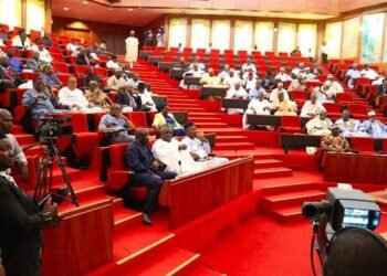 Nigerian Senators’ Pay Equals Salaries of 4,700 Professors