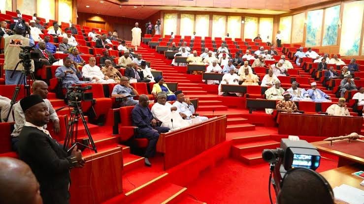 Nigerian Senators’ Pay Equals Salaries of 4,700 Professors