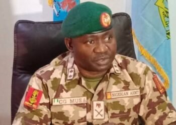 CDS Urges Nigerians to Learn Combat Skills as Basic Survival Tool