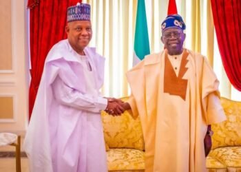 Tinubu Celebrates VP Shettima at 59, Hails Loyalty and Service