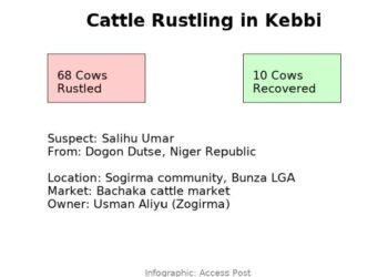 Police Arrest Suspected Cattle Rustler in Kebbi, Recover 10 Stolen Cows