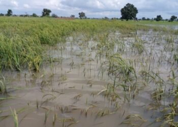 Three Swept Away in Zaria Flood After Heavy Downpour