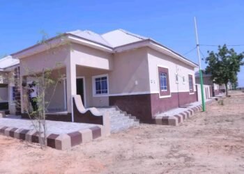 Zulum Rewards Dedicated Igbo Health Worker with House, Automatic Employment for her Son