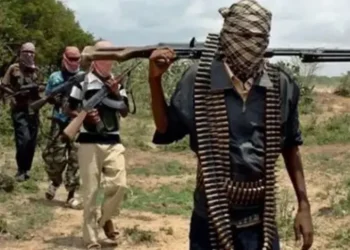 Bandits Kill Three, Abduct 64 in Zamfara Community
