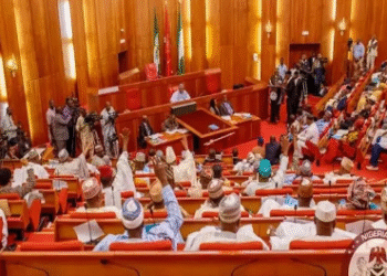 Senate Moves to Ban Recruitment of Underage Persons into Nigerian Military