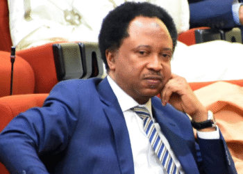 Terrorists And Bandits K!lling People Are Northerners, Not Foreigners – Shehu Sani