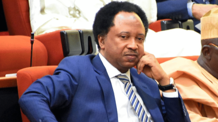 Terrorists And Bandits K!lling People Are Northerners, Not Foreigners – Shehu Sani
