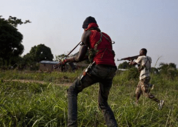 Catholic Priest Kidnapped In Kaduna, Sparks Panic Among Christian Community