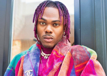 Ex-Anambra Governor Chris Ngige Arrested in Abuja