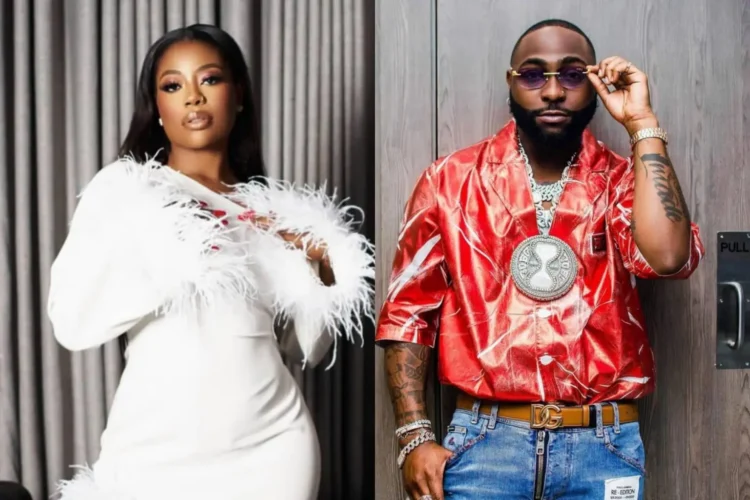 Stop Calling Me Davido’s Wife – Sophia Momodu Warns Fans