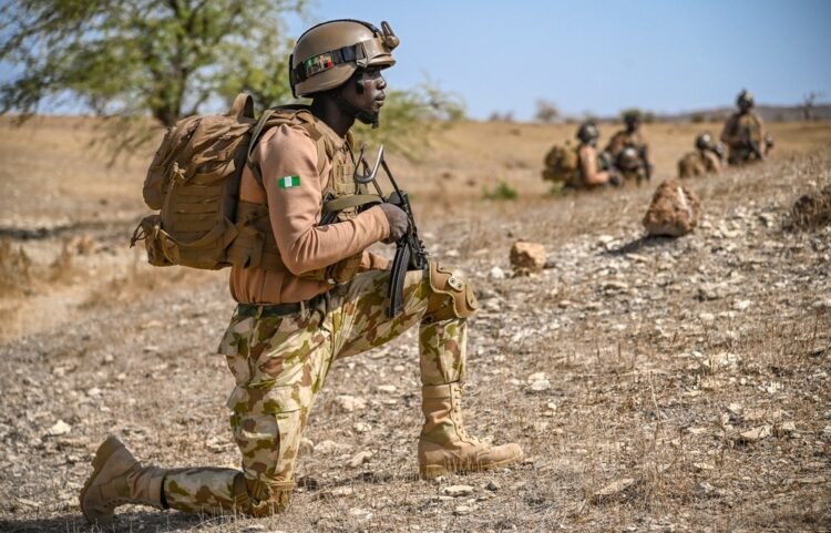 Nine Nigerian Soldiers Killed in Landmine Attack in Borno