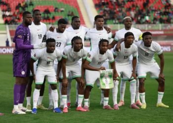 World Cup Will Be Boring Without Super Eagles — Dutch Coach
