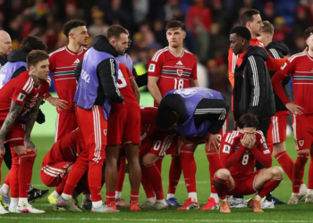 Wales And Ireland Fall In World Cup Play-Offs