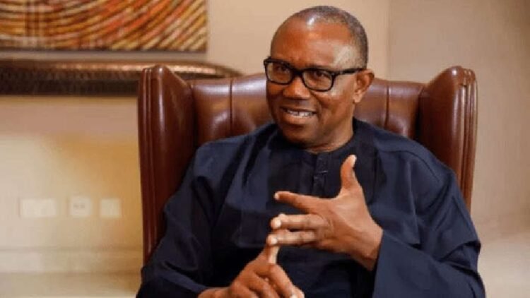 The North is Nigeria’s greatest asset – Peter Obi
