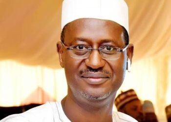 It’s a rare privilege to serve as Minister – Dangiwa