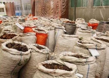 Nigeria Arrests Suspected Wildlife Trafficking Kingpin