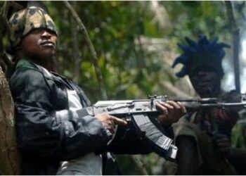 Gunmen Kill 24 In Kebbi Community As Amnesty Demands Urgent Probe