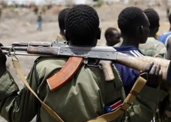 Gunmen Kill 24 In Kebbi Community As Amnesty Demands Urgent Probe