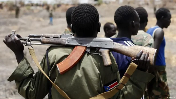 Gunmen Kill 24 In Kebbi Community As Amnesty Demands Urgent Probe