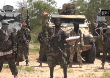 I Have Killed Over 100 People – Repentant Boko Haram Member