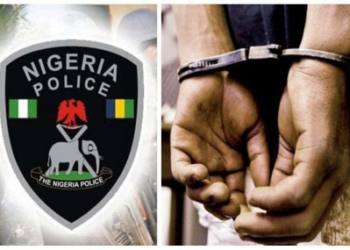 Police Arrest 33yr Old Drug Baron In Delta, Recover Large Quantities Of Drugs