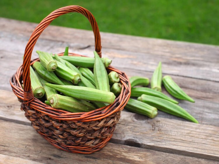 Okra Water Gains Attention For Blood Sugar Control Among Diabetics