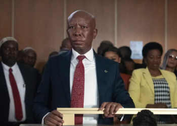 Malema’s Sentencing Sparks Debate On Law, Politics, And Security