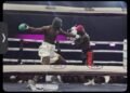 Celebrity Boxing: Carter Efe’s Victory Scripted By Organisers To Evade N23bn Betting Payment – Portable