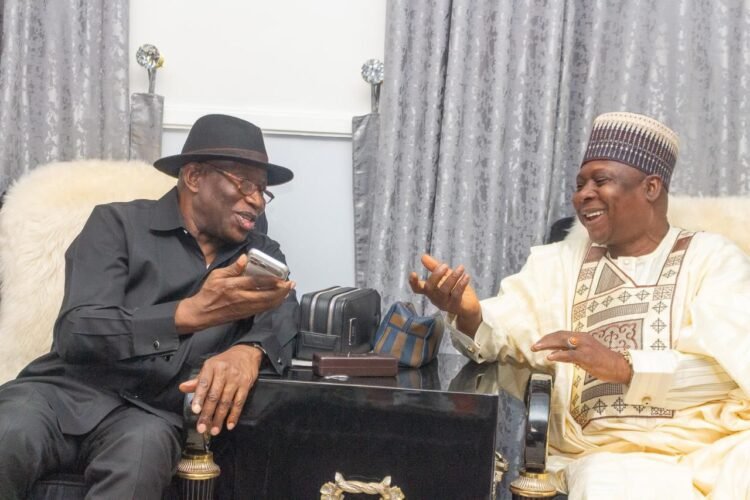 2027: Jonathan Still Belongs To PDP — Turaki-Led Faction