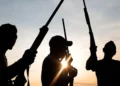 Oyo School Abduction: Nursing Mother Appeals For Help In Fresh Video
