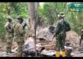 Troops Kill Three Terrorists, Recover 175 Stolen Livestock In Katsina