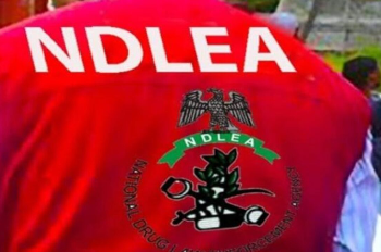 NDLEA Smashes Nigerian-Mexican Meth Cartel, Arrests Three Mexicans, Others