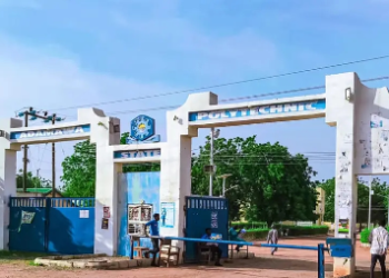 Robbers Invade Adamawa Poly Female Hostel, Cart Away Phones