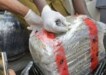 Customs Intercepts ₦18.96bn Cannabis Hidden in Imported Vehicles at Lagos Port