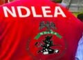 Grandpas Arrested For Drug Trafficking In Abia, Ekiti