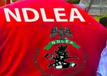 Grandpas Arrested For Drug Trafficking In Abia, Ekiti