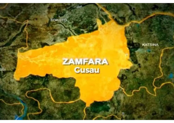 Zamfara Attack Leaves 10 Vigilantes Dead