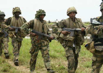 Army, NDLEA Raid Katsina Community, Arrest Six Suspected Drug Peddlers