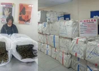 NDLEA Arrests Chinese Woman Over Drug Shipment At Lagos Airport