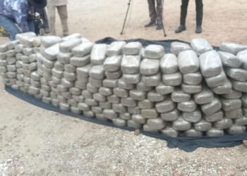 Police Arrest Man With 339 Wraps Of Suspected Cannabis In Kogi