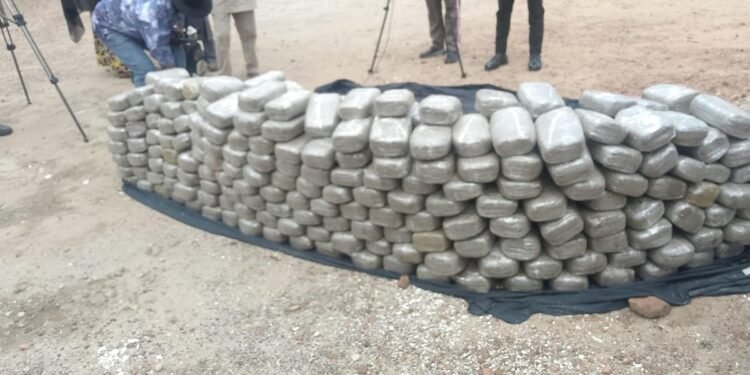Police Arrest Man With 339 Wraps Of Suspected Cannabis In Kogi